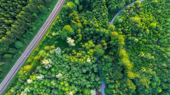 Knorr-Bremse erhält Gold-Status im Nachhaltigkeitsrating von EcoVadis