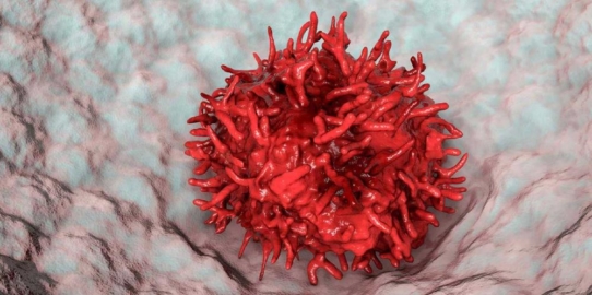 Austausch von Immunzellen begünstigt schwere Grippe