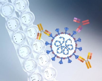 Test-Plattform aus Thüringen prüft Impfstatus für Corona, Masern, Diphterie & Tetanus gleichzeitig