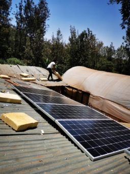Solarstrom sorgt für Kühlung von Fisch, Kräutern und Milch in Kenia