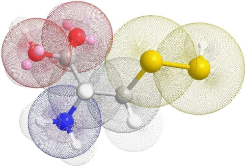 Wie gestresste Tumorzellen dem Zelltod entgehen: neuer Mechanismus entdeckt