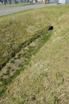 Sanierungsfall Grünmulde