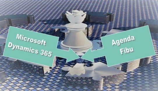 Microsoft Dynamics 365 und Agenda Fibu - ein starkes Paar