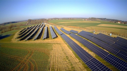 Solarpark erhöht Artenvielfalt in Aulendorf