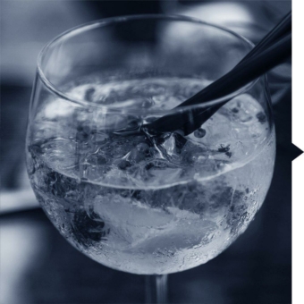 PROFI-PKS Gin-Tasting (Vortrag | Online)