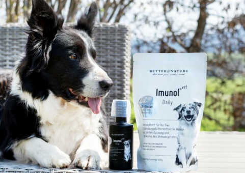 Ist Ihr Hund wirklich fit und gesund?