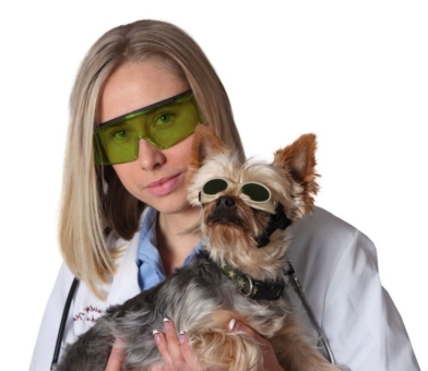 laservision Laserschutz-Doggles® - für Laserbehandlungen an kleinen und großen Tieren