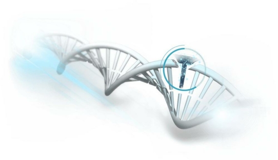 DNA Schädigungen durch bioaktivierte Gifte in Leberzellen schnell erkennen