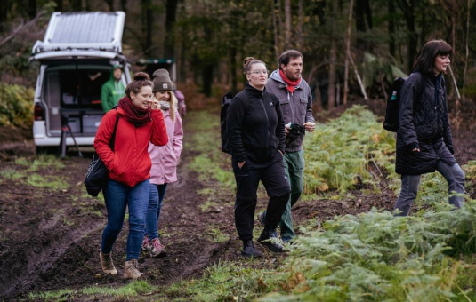 Bäume statt Pralinen: Anpacken für den Klimaschutz