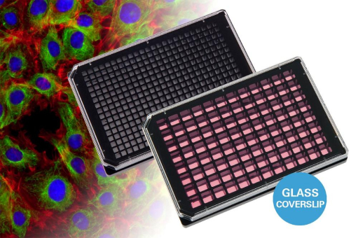 ibidi Produktneuheit: Die neuen µ-Plates mit Glasboden von ibidi kombinieren Hochdurchsatz mit Super-Resolution Mikroskopie