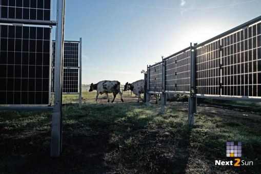 Next2Sun und TEP Renewables treiben den Agri-PV-Ausbau in Großbritannien voran