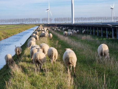 Vattenfall investiert in 76 Megawatt Agri PV Projekt