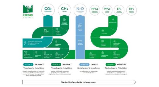 Klimaneutral vs. Net Zero (Netto Null): Was ist der Unterscheid?