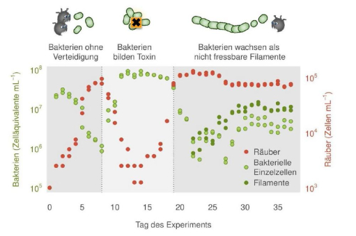 Am Ende zählt der individuelle Vorteil