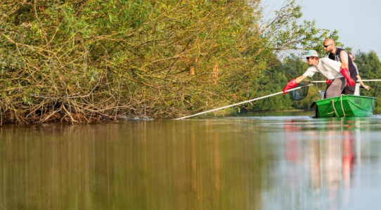 Ökologische Aufwertung von Gewässern nützt Fischen und Menschen