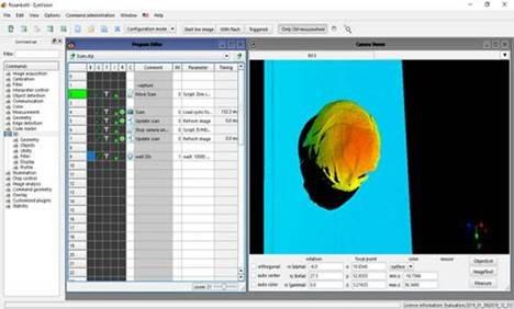 Obst und Gemüse Inspektion durch 3D Bildverarbeitung