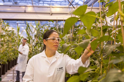 BASF treibt Innovationspipeline mit integrierten Lösungen zur Transformation der Landwirtschaft voran