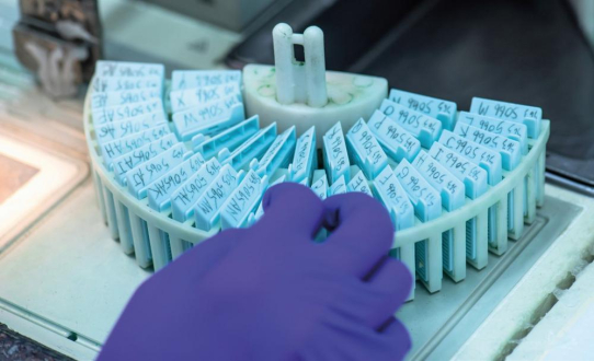 BioEcho bringt EchoLUTION™ FFPE DNA Kit für eine vereinfachte DNA-Extraktion aus FFPE-Proben auf den Markt