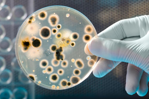 Antimikrobiell, individuell und recycelbar? SKZ präsentiert aktuelle Entwicklungen im Bereich Medizintechnik
