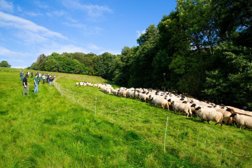 Mitarbeiter-Event in Hünfeld: Endlich wieder Face-to-Face