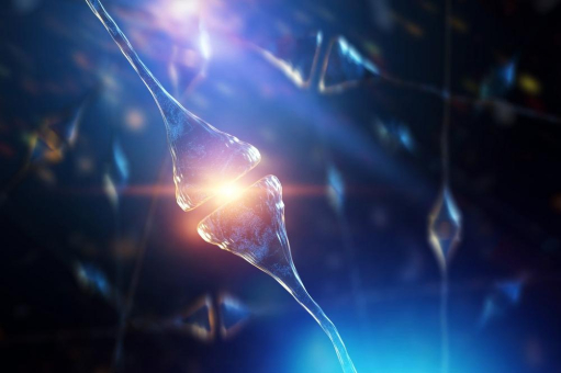 Neue Therapie gegen Demenz: Transkranielle Pulsstimulation – TPS – erfolgreicher als Medikamente.