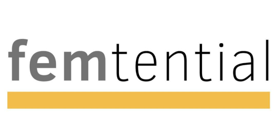 FEMtential – Weibliche Potentiale im IT-Mittelstand - Neues BITMi-Projekt gestartet