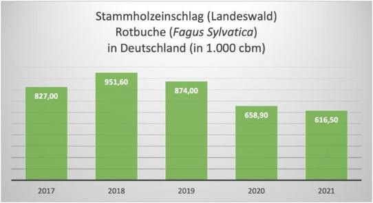 Alarmierende Trends im öffentlichen Buchenholzeinschlag