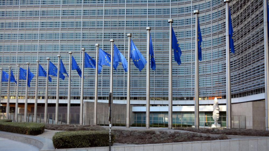 Der MEW blickt mit gemischten Gefühlen auf die Einigung innerhalb der EU zur RED III