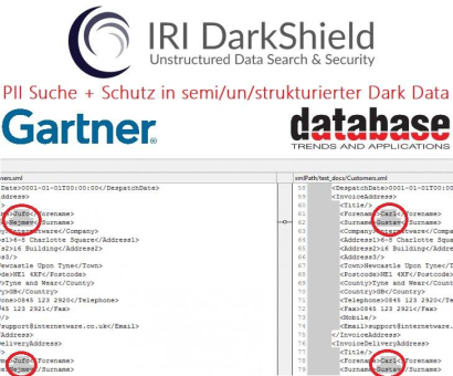 ❌ PII-Schutz in komplexen JSON- oder XML-Dateien ❌ PII automatisch lokalisieren, de-identifizieren + maskieren ❗