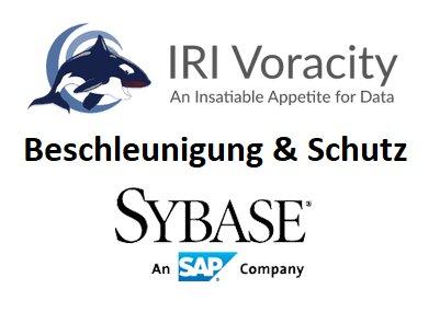 ❌ SAP Sybase ❌ Beschleunigung der Datentransformation und sicherer Datenschutz von Sybase IQ und ASE-Tabellen ❗