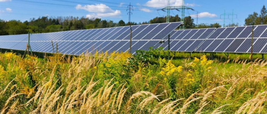 Bundeskabinett beschließt Solarpaket I: Erleichterter Ausbau der Solarenergie