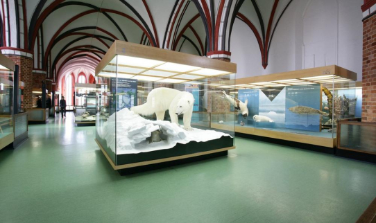 Deutsches Meeresmuseum Stralsund
