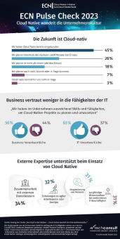 45 Prozent der Unternehmen setzen auf Cloud-Native-Strategie