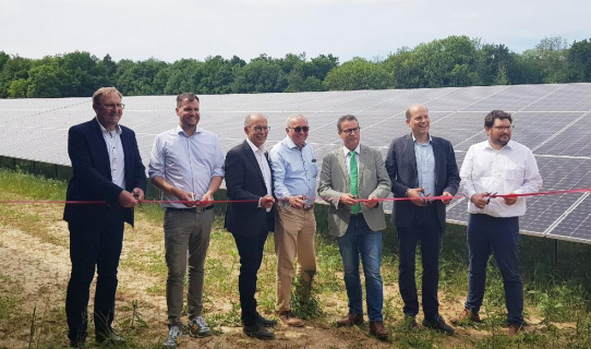 Solarpark Roigheim eingeweiht: Natur- und Klimaschutz im Einklang