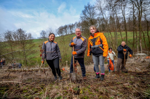 Pflanzen für die Zukunft: OBI Azubis engagieren sich für den Drolshagener Wald