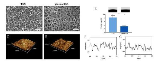 Verbesserte Osseointegration und Bio-Dekontamination von nanostrukturiertem Titan