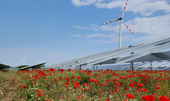 GOLDBECK SOLAR, Energiegenossenschaft Hohe Waid und AVR Energie gemeinsam auf dem Sonnenweg