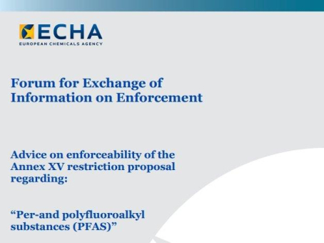 Europäisches Enforcement Forum empfiehlt ECHA,  nachzubessern