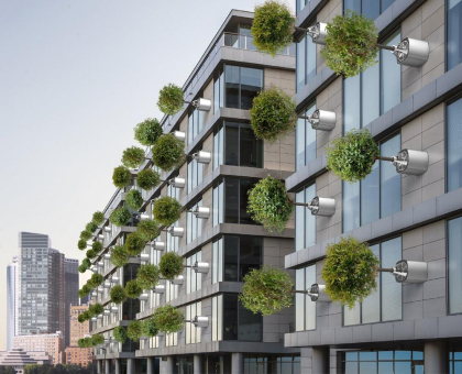 Fassadenbegrünung 2.0: Kühlende Bäume an den Fassaden verbessern urbanes Klima