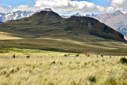 Erstes Hydro-Solar-Microgrid in Patagonien