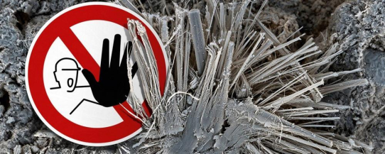 Forum Asbest und andere Schadstoffe in technischen Anlagen und Bauwerken