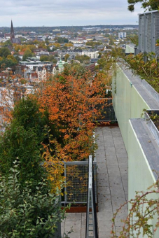 Der grüne Bunker in Hamburg.