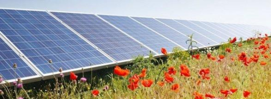 „Mit dem neuen Solar Bond soll unser PV-Portfolio um rund 300 MWp erweitert werden“ – Interview mit Karsten Reetz, reconcept Gruppe