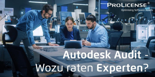 Autodesk Audit – Wozu raten Experten?