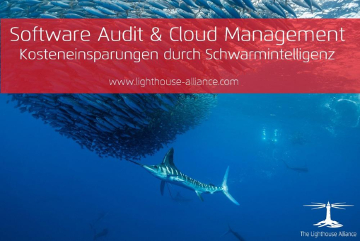 Software Audit & Cloud Management