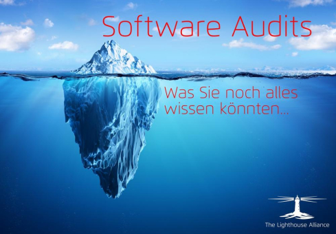 Software Audits - Was Sie noch alles wissen könnten…