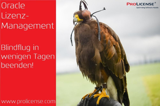 Oracle Lizenzmanagement – Blindflug in wenigen Tagen beenden!