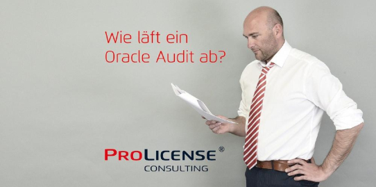Wie läuft ein Oracle Audit ab?
