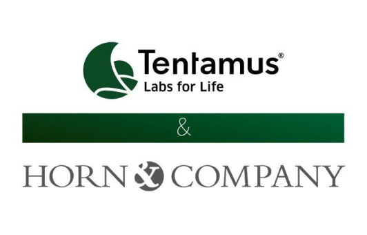 Tentamus Group und Horn & Company schließen Partnerschaft