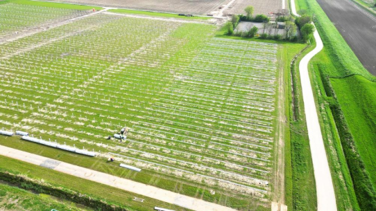 GOLDBECK SOLAR wird 51 MWp Solarpark für Eneco Solar in den Niederlanden realisieren
